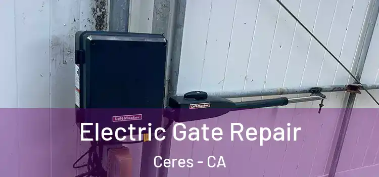 Electric Gate Repair Ceres - CA