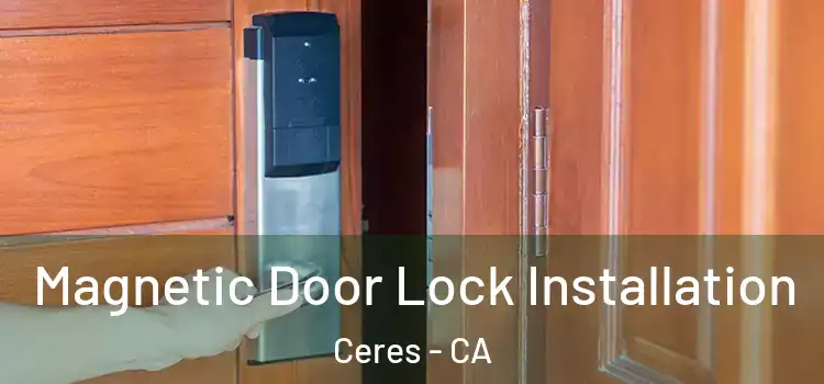  Magnetic Door Lock Installation Ceres - CA