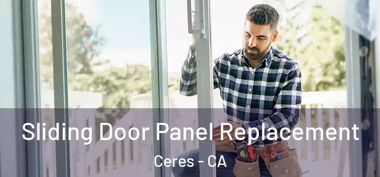  Sliding Door Panel Replacement Ceres - CA